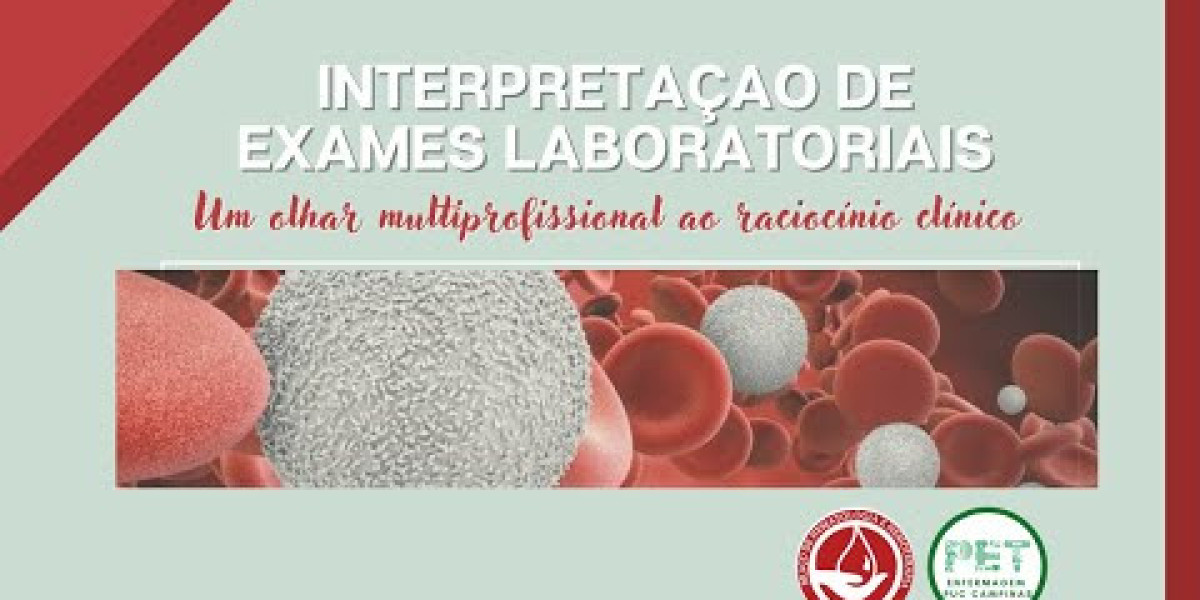 DIETA PARA PERROS CON INSUFICIENCIA RENAL paso a paso