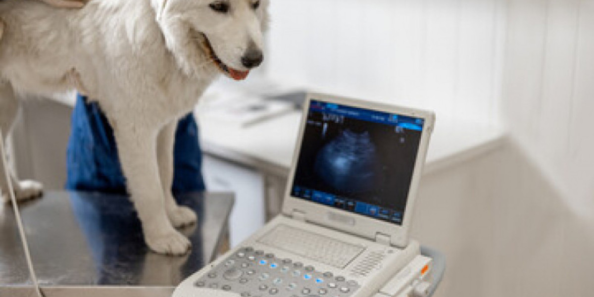 Kidney Disease in Dogs