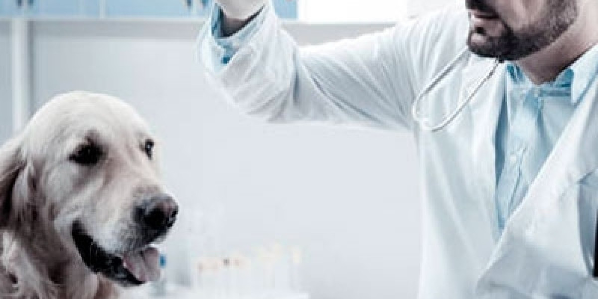 Veterinary Molecular Pathology