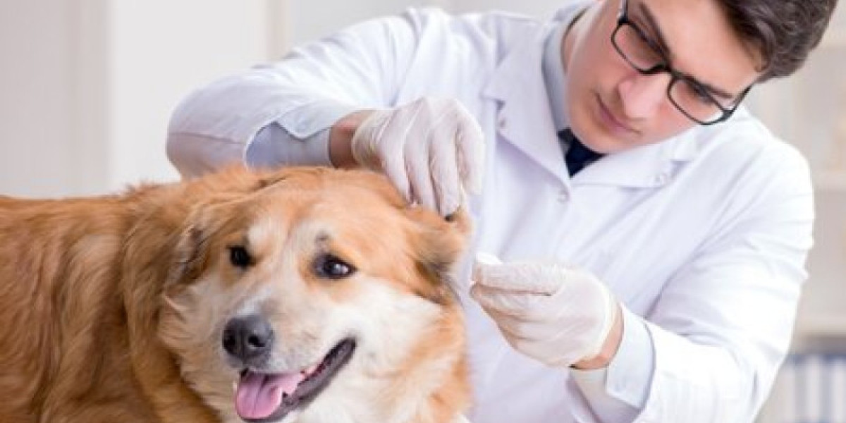 Los laboratorios que experimentan con animales salen de la oscuridad