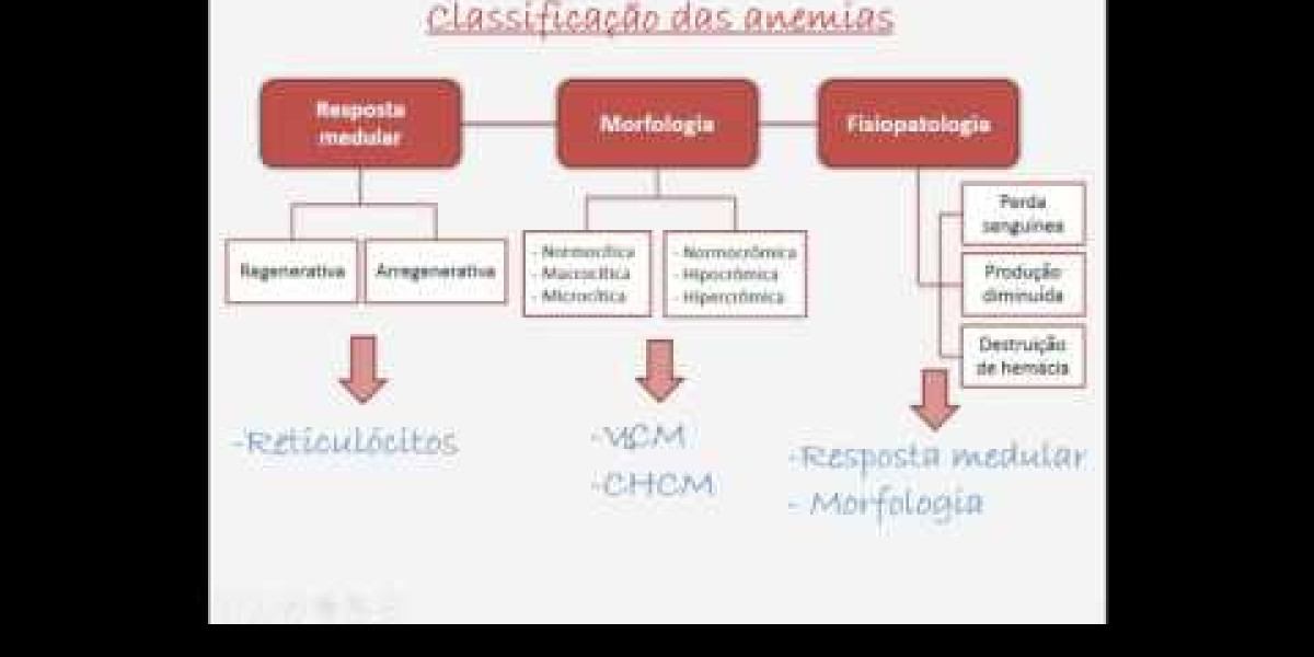 UNDERSTANDING BLOOD WORK: THE BIOCHEMICAL PROFILE FOR DOGS The Big Easy Animal Hospital