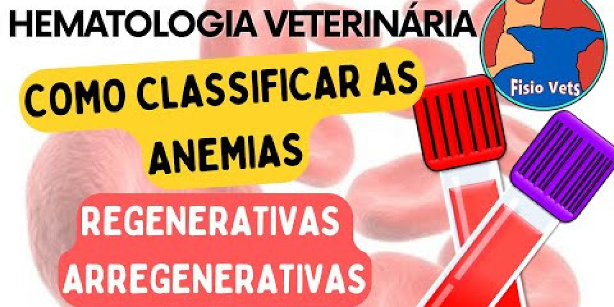 Urea alta en perros Síntomas y tratamiento