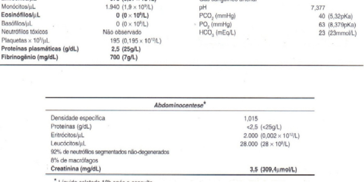 Diagnosing and Treating Liver Disease in Dogs