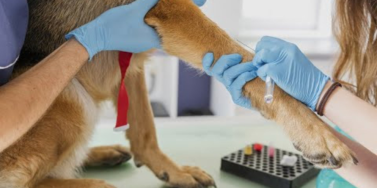 Laboratory Tests Routinely Performed in Veterinary Medicine Special Pet Topics