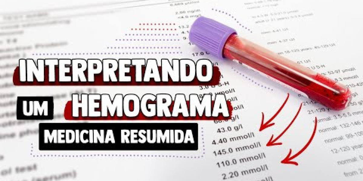 Insuficiencia Renal en Perros: Causas, Síntomas y Tratamiento