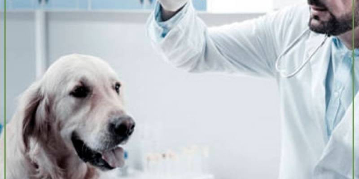 VT30: Total T4 Immunoassay Veterinary Thyroxine Test