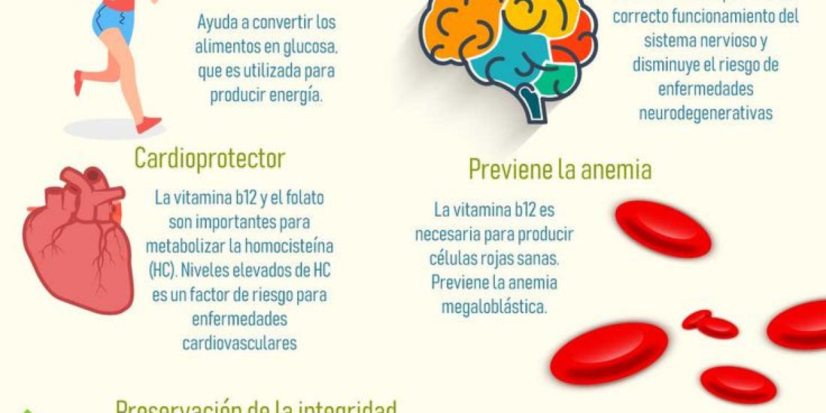 Té de ruda, descubre para qué sirve y qué beneficios tiene para la salud