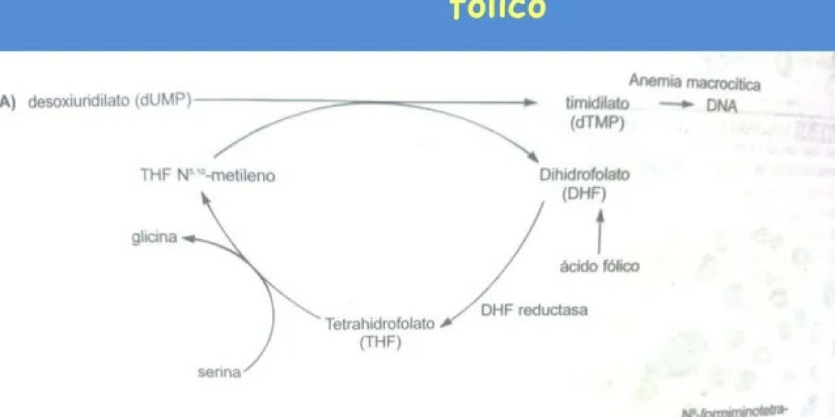 Descubre los Increíbles Beneficios de Tomar Ácido Fólico a Diario para tu Salud