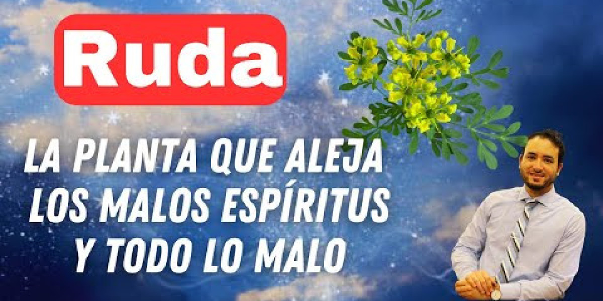 Descubre los Poderes Mágicos de la Ruda: Propiedades y Beneficios que Sorprenden